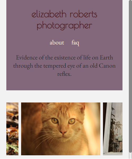 Screenshot of photo gallery on mobile view.